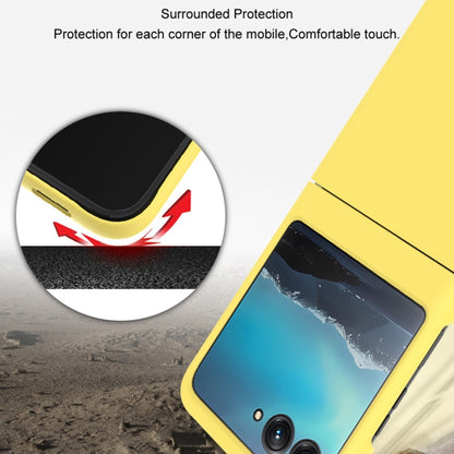 EDA005167801B_4.jpg@b2bf7a158e5586e4e7dae094344c89e8