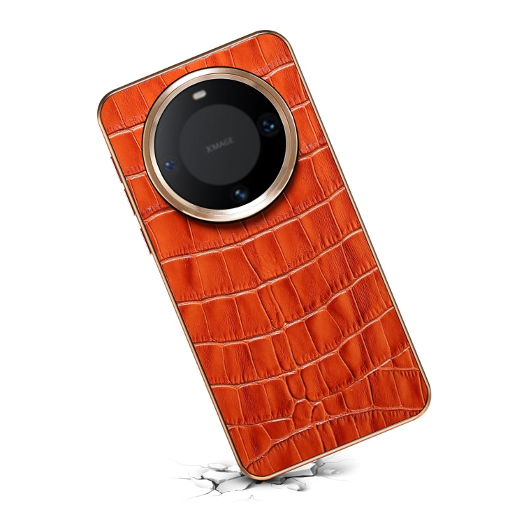 EDA005985902C_3.jpg@8a6c933ac20f3e4adc99450301c62509