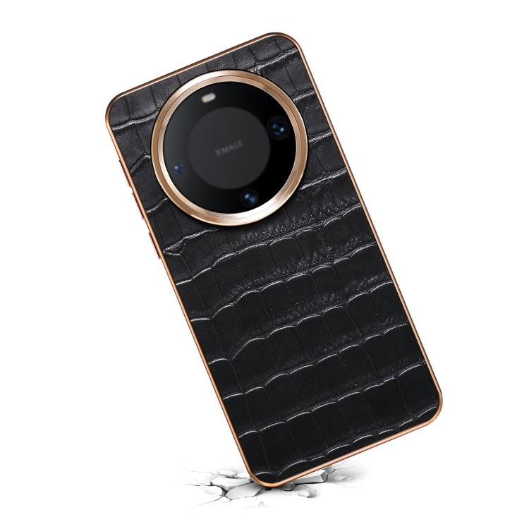 EDA005985902D_3.jpg@5c9755b0f35d1a08fa3d2ed36fcd9ffd