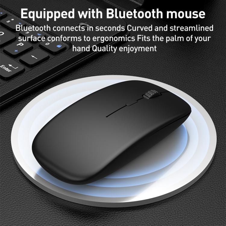 EDA0083830_B8.jpg@3c26f009f347f9dcc0b15acbcd38b03e