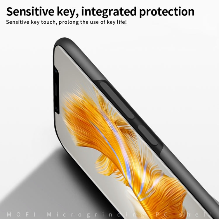 SYA002562004B_4.jpg@be4ba1900b6916926a83d6c407ac22e3