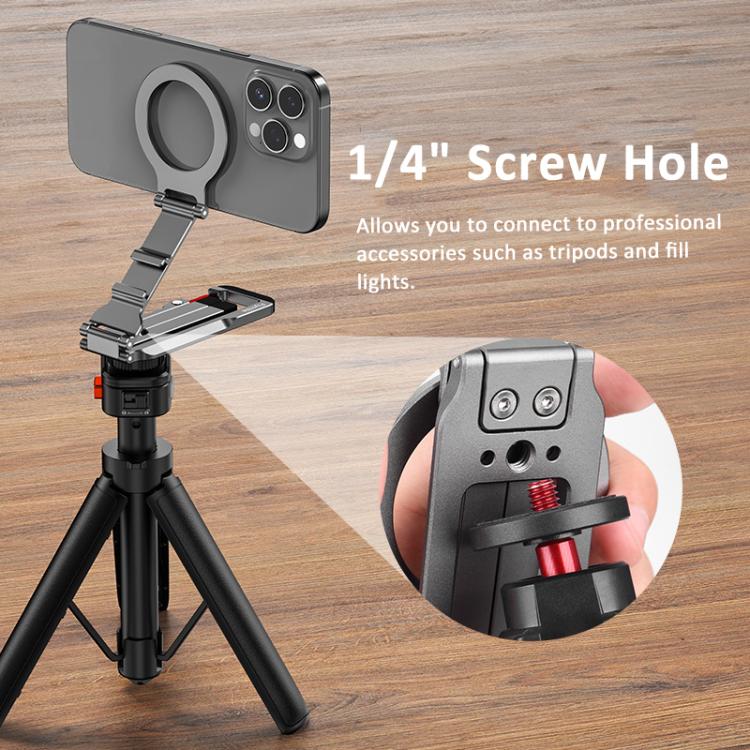 TBD06061890_B6.jpg@8f991a7557f1ad7bfb8b8274eca666b5